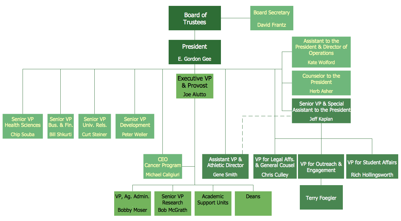 Example of Organizational Chart *
