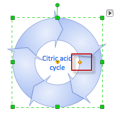 Drawing Biology Diagrams | ConceptDraw HelpDesk