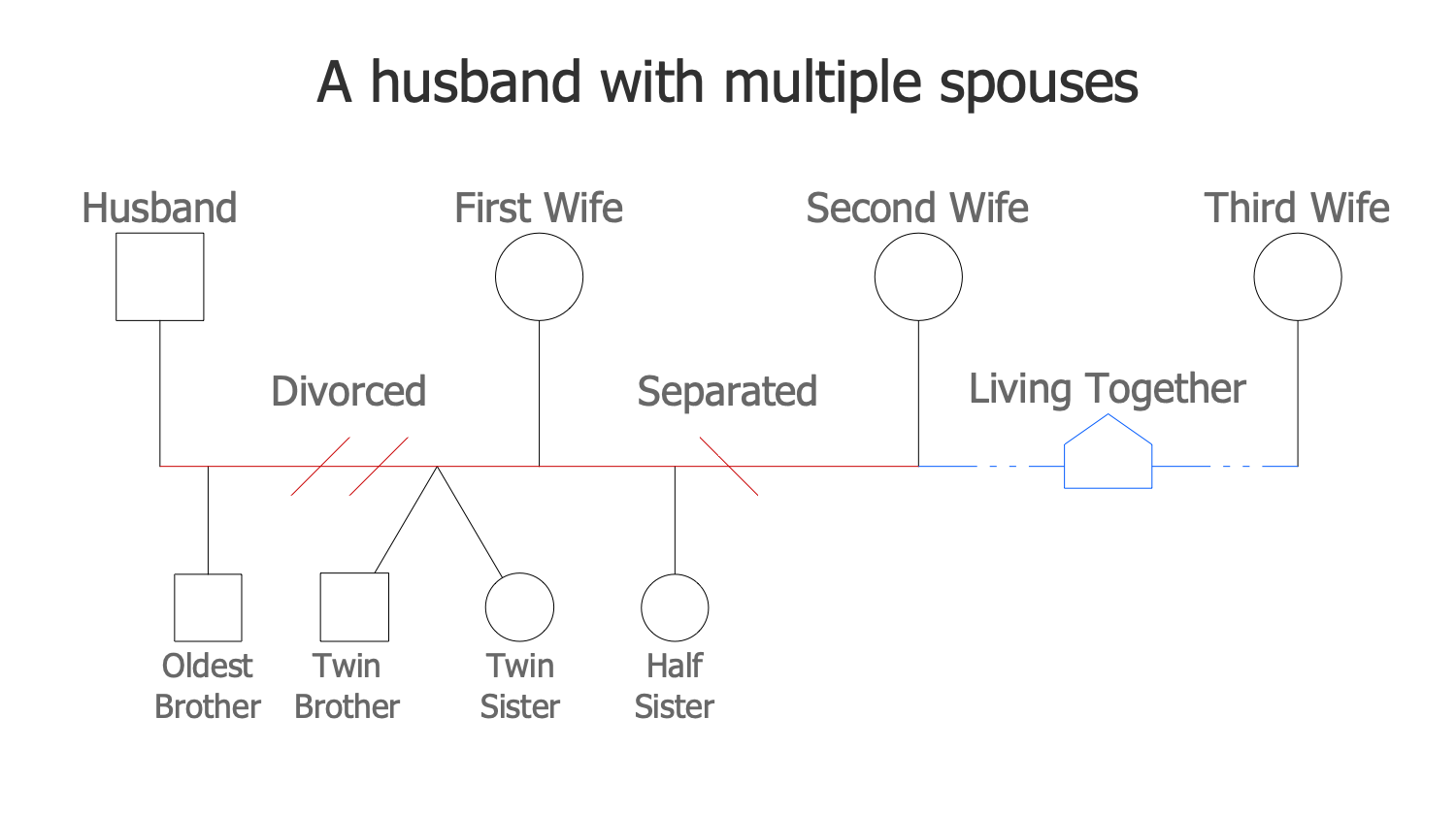 A Husband with Multiple Spouses