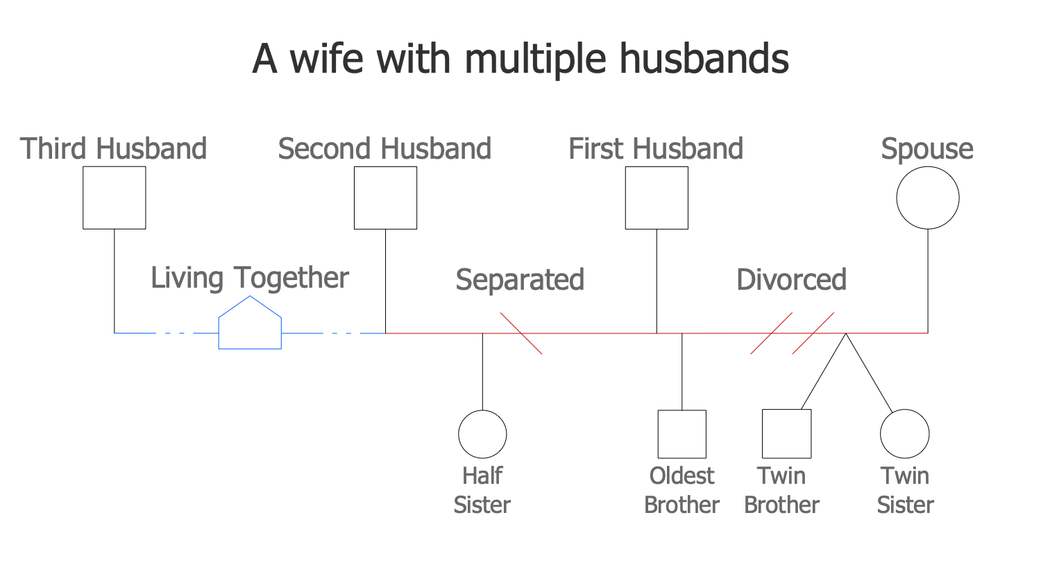 A Wife with Multiple Husbands