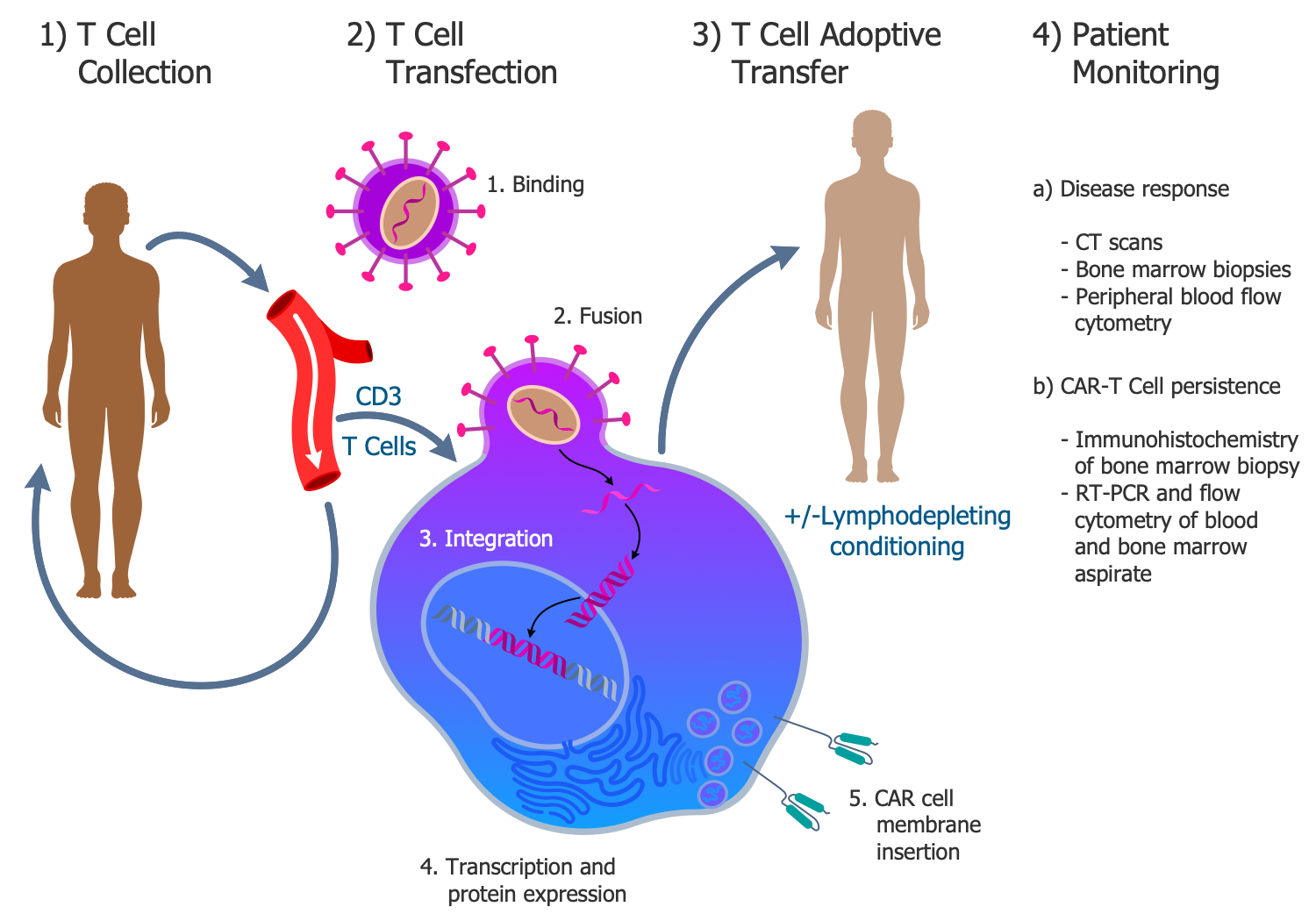 CAR T-Cell Transfer Therapy