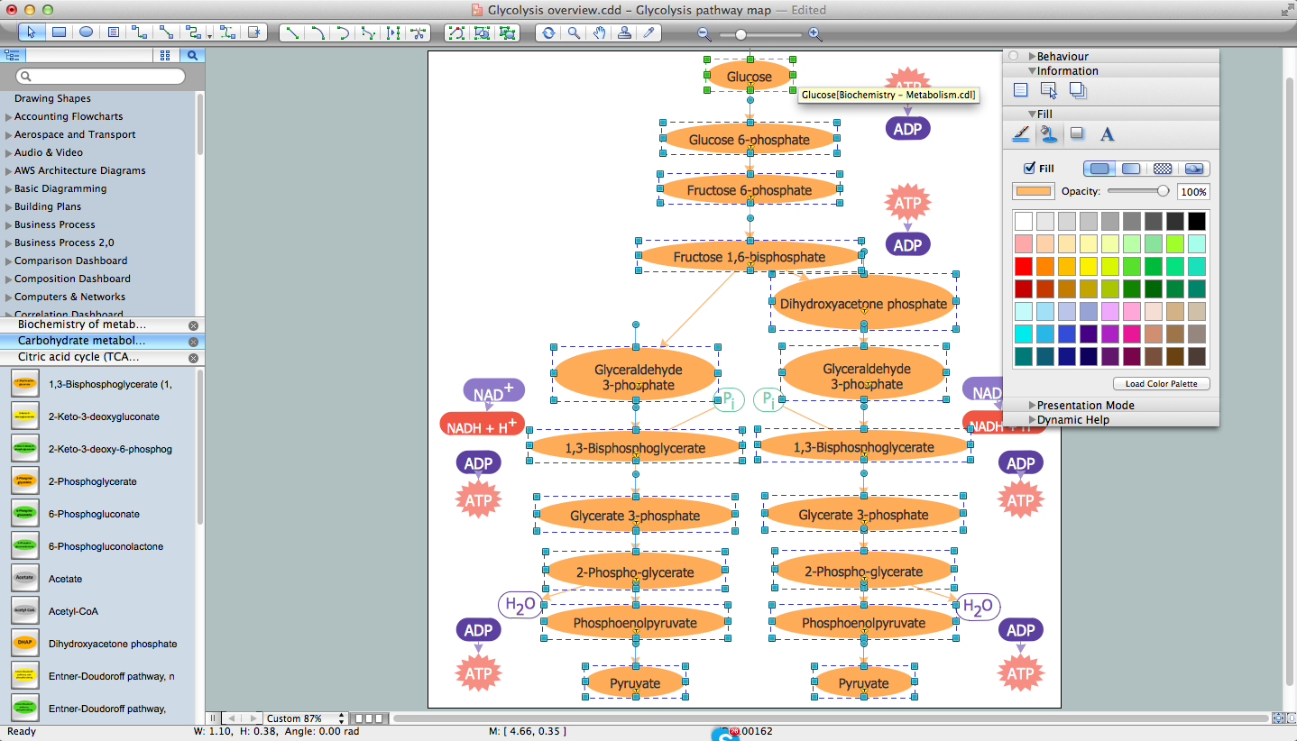 Biology Drawing Software *