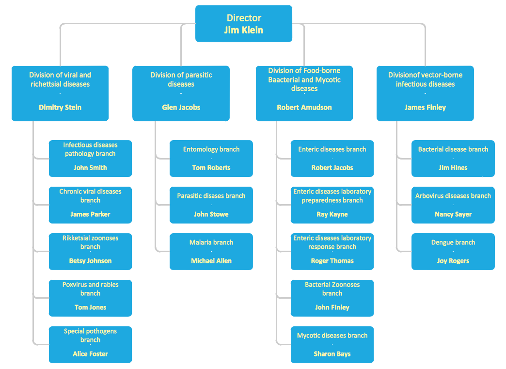 IT Department Organization Chart