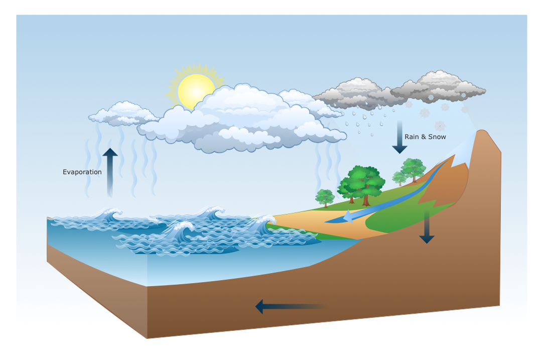 Water cycle diagram (evaporation, condensation, precipitation, runoff),  drawing. - SuperStock