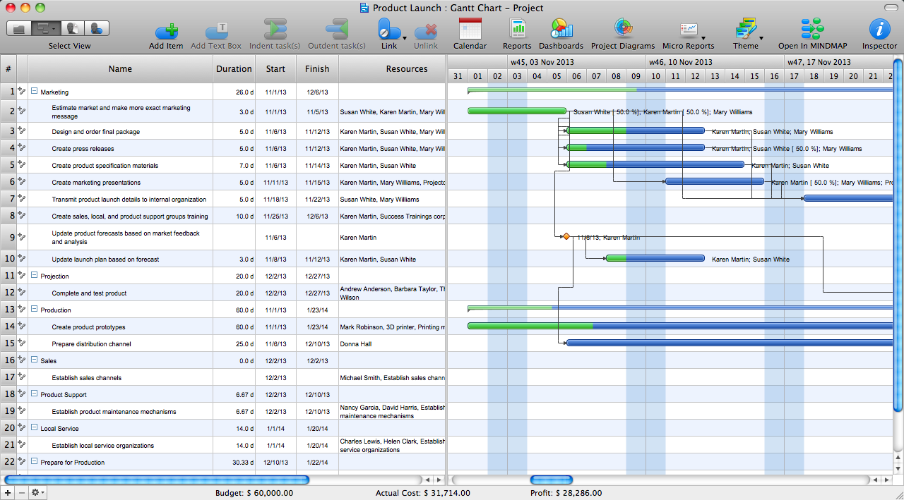 task identification gantt chart ms project