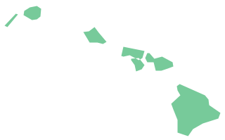 Geo Map - USA - Hawaii *
