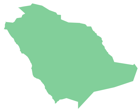 Geo Map - Asia - Saudi Arabia *