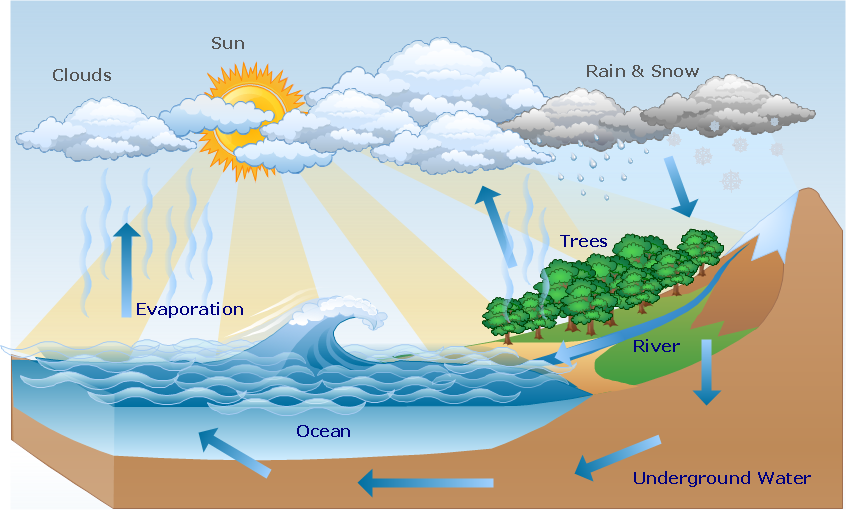 Drawing Water Cycle Stock Vector (Royalty Free) 360033047 | Shutterstock