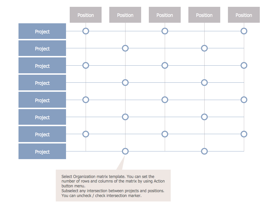 Matrix Organization Structure *