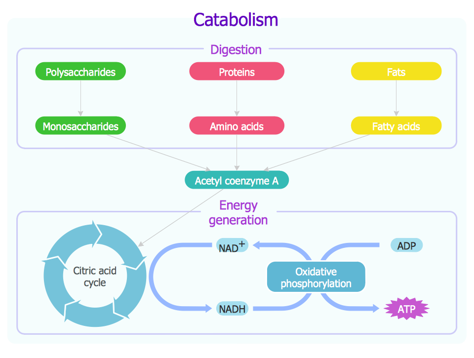 Skin Diagram || How to draw and label the parts of skin | Skin drawing,  Human cell diagram, Cell diagram