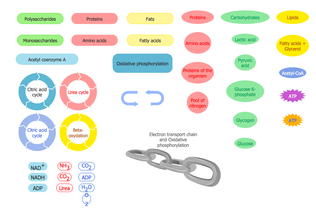 Biology Symbols