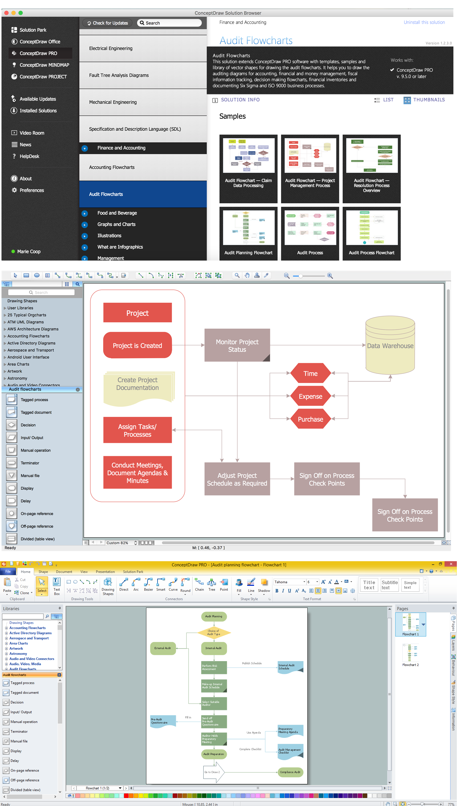 Audit flowcharts solution