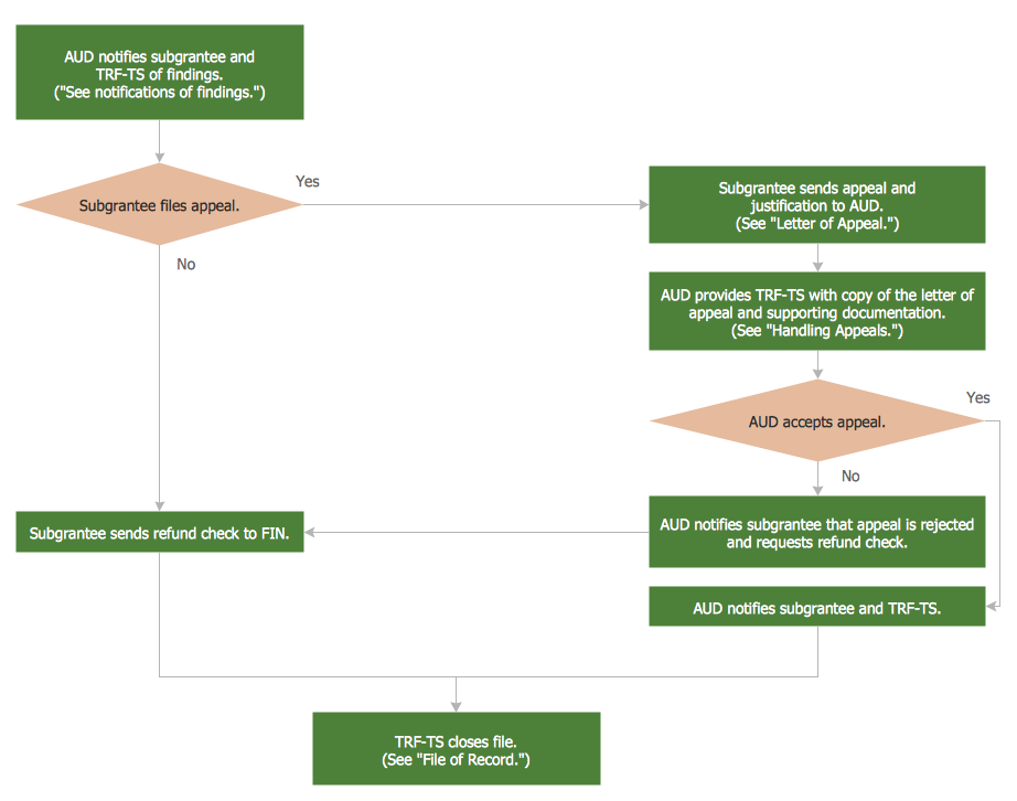 Audit Steps