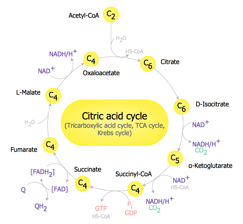 Biology Symbols citric acid solution diagram 