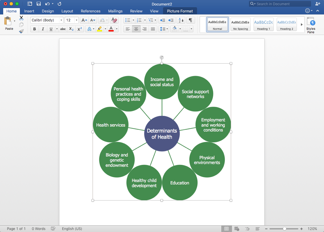 How to Add a Circle-Spoke Diagram to MS Word Document *