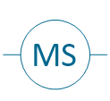 Synchronous motor