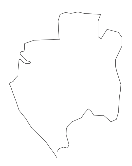 Geo Map - Africa - Gabon Contour