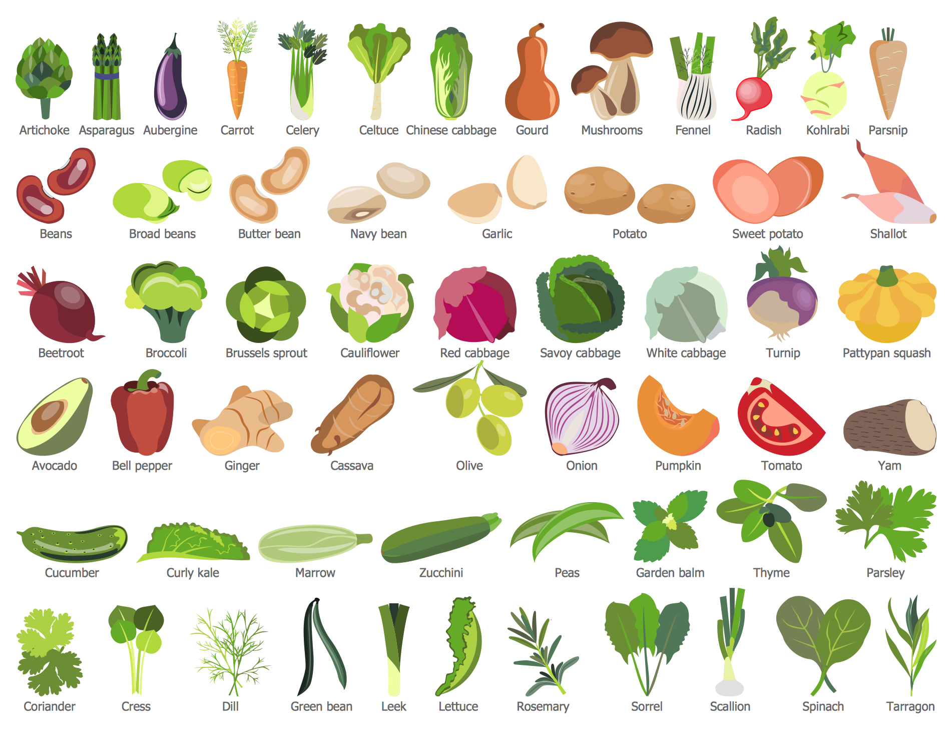 Vegetables Food Vector Color Sketch Products Stock Vector (Royalty Free)  1992884375 | Shutterstock