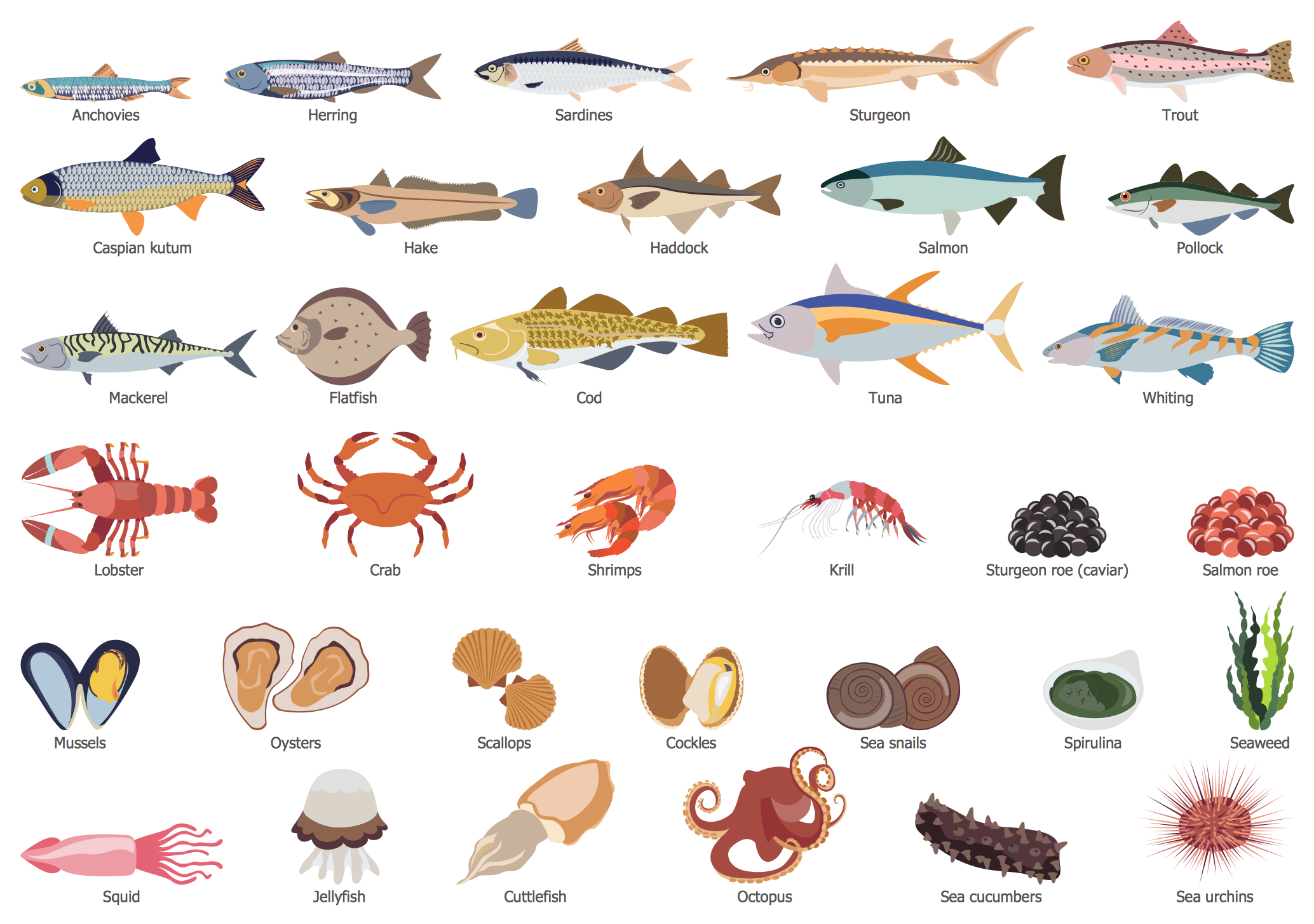 Fish and Seafood