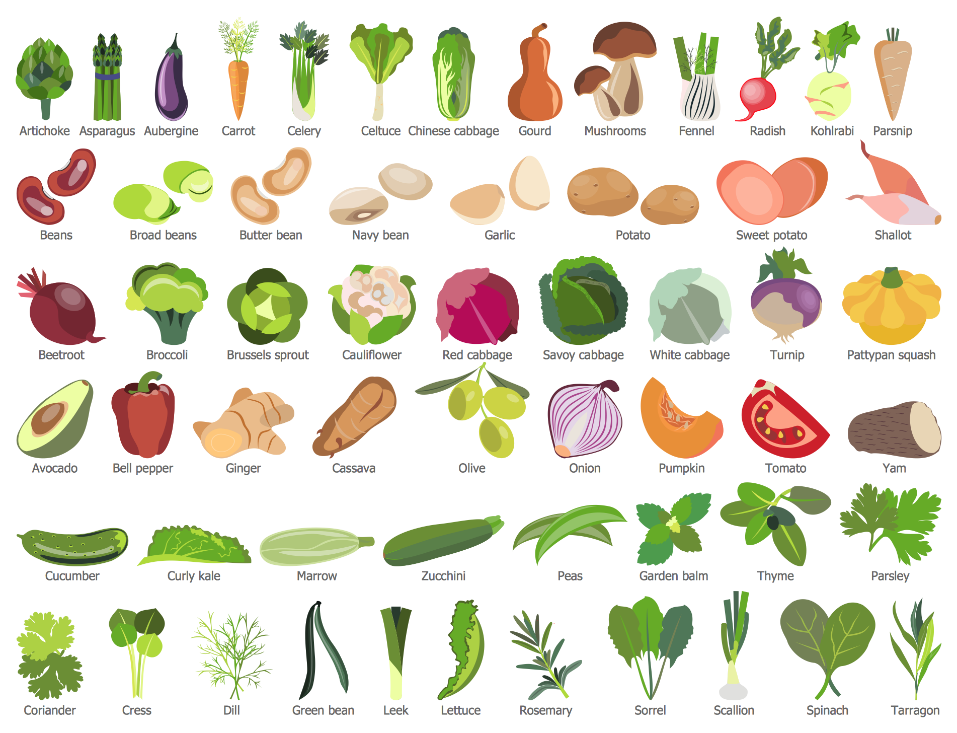 Vegetables and Herbs