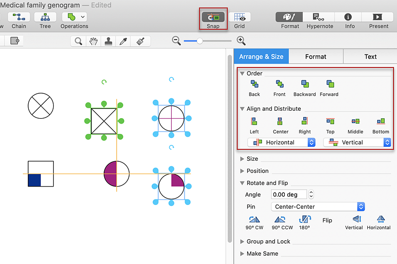 genogram social work program for pc