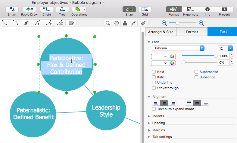 bubble-diagram-adding-text