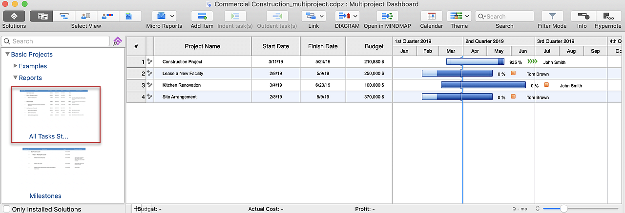 multple_project_report