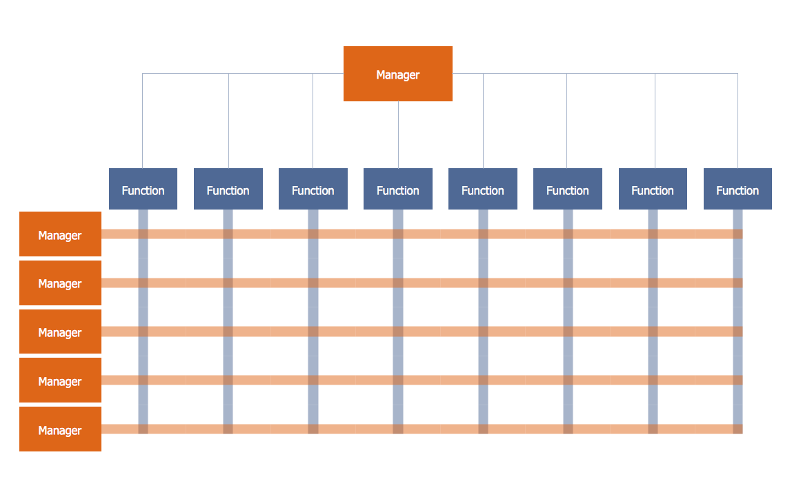 matrix organizational structure