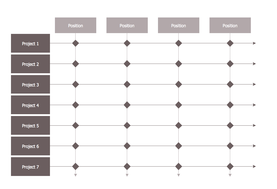 Matrix Organizational Structure - Template