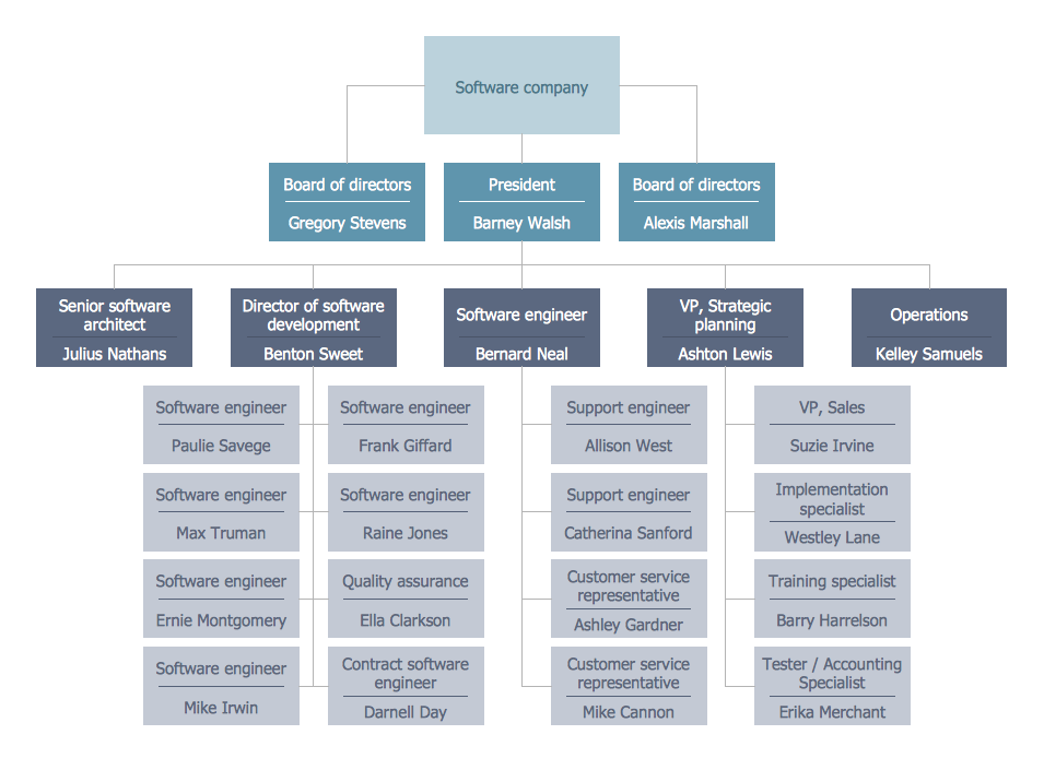 Functional Organizational Structure - Software Company