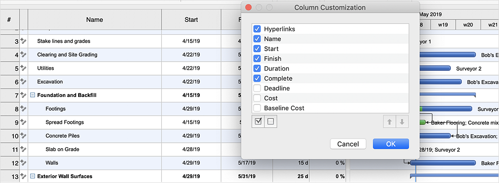Customize Columns in Your Project Schedule