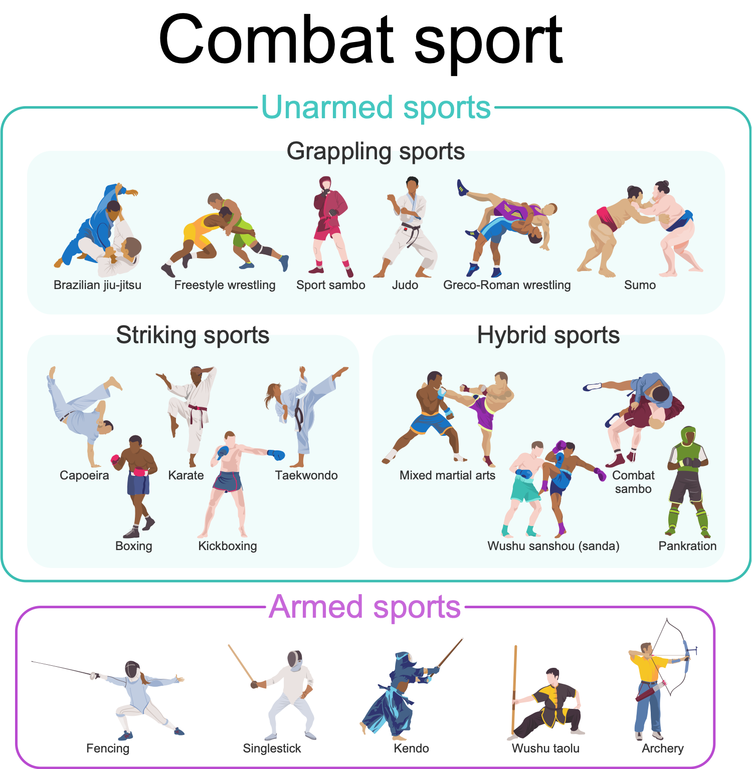 Combat Sport Illustration