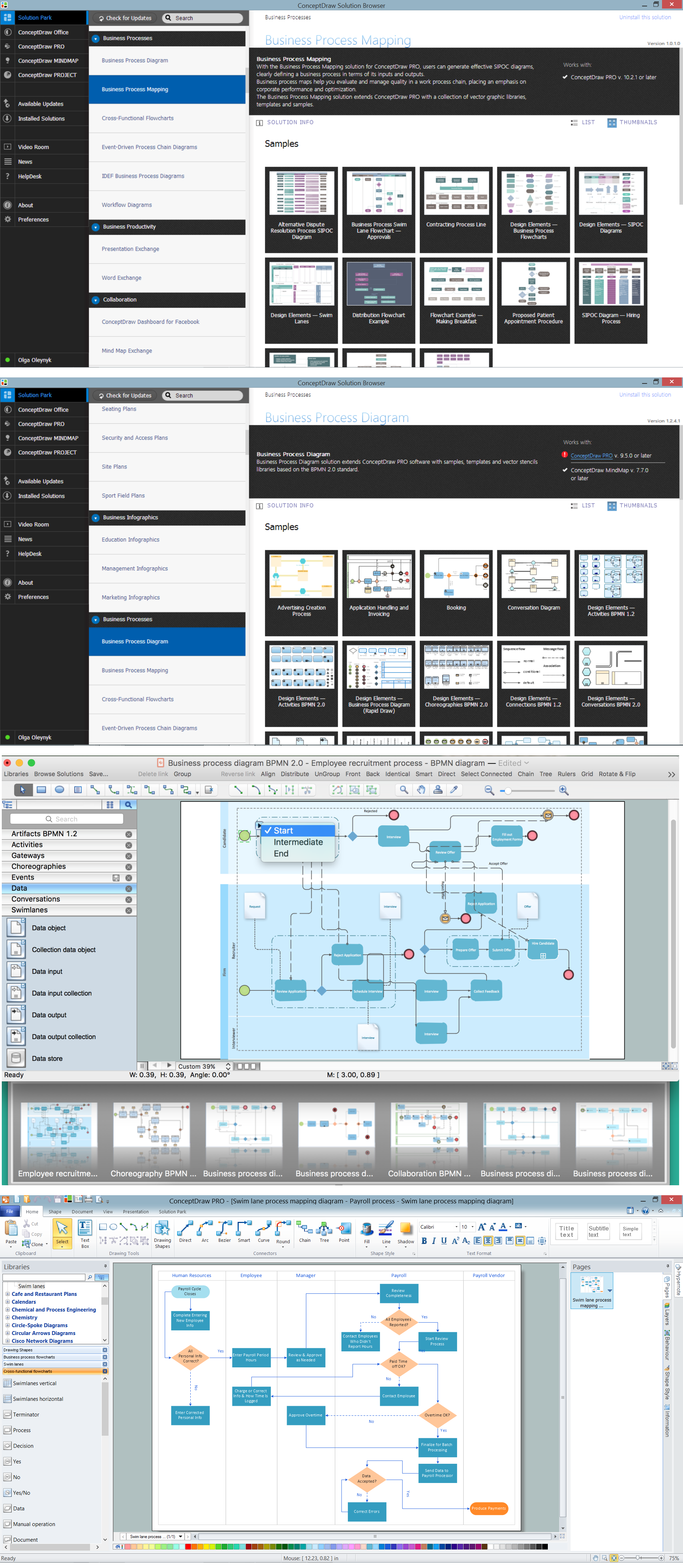 Business Process Diagram and Business Process Mapping solutions