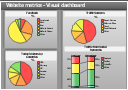Visual dashboard, pie chart, double divided bar,