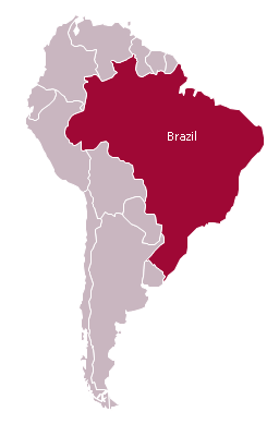Political map - Brazil in South America, South America, South America map,