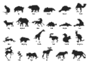 Vector silhouettes, wolf, turtle, tiger, squirrel, snake, seal, pig, lion, kangaroo, horse, hedgehog, hare, goat, giraffe, elk, elephant, dolphin, dog, deer, cat, camel, beaver, bear, badger,