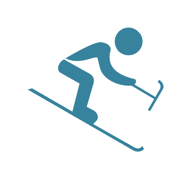 Pict  Paralympic Alpine Skiing Alpine Skiing, Paralympic Winter Sports Pictograms