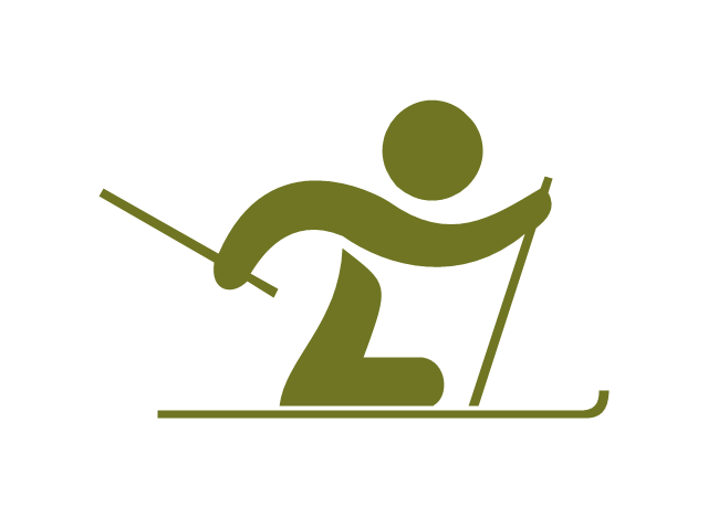 Paralympic cross-country skiing, paralympic cross-country skiing,
