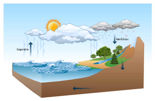 Vector illustration, tree, sunny, snow, rain, overcast, cloud, ocean, sea,