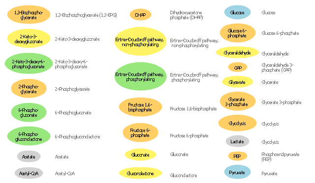 Carbohydrate metabolite symbols,  triose phosphate, TP, Robison ester, pyruvic acid, pyruvate, phosphoenolpyruvic acid, phosphoenolpyruvate, PGAL, PEP, milk acid, metabolites shapes, metabolic pathways map icons, lactic acid, lactate, KDPG, KDG, Harden-Young ester, grape sugar, GP, glycolysis, glycerone phosphate, glyceric aldehyde
, glyceric acid, glycerate 3-phosphate, glycerate, glyceraldehyde 3-phosphate, glyceraldehyde, glucose 6-phosphate, glucose, gluconolactone, gluconic acid, gluconate, ghlucono delta-lactone, GDL, GAP, GALP, GADP, G3P, fructose 6-phosphate, fructose 1, ethanoic acid, Entner-Doudoroff pathway phosphorylating, Entner-Doudoroff pathway non-phosphorylating
, dihydroxyacetone phosphate, DHAP, dextrose, D-glucose, carbohydrate metabolism symbols, biochemical diagram vector stencils, acetyl-CoA, acetyl coenzyme A, acetic acid, acetate, 6-phosphogluconolactone, 6-phosphoglucono-δ-lactone, 6-phosphogluconic acid, 6-phosphogluconate, 6-bisphosphate, 3PG, 3-phosphoglyceric acid, 3-phosphoglyceraldehyde, 3-deoxy-D-erythro-hex-2-ulosonic acid, 3-deoxy-2-oxo-D-gluconate, 2PG, 2-phosphoglyceric acid, 2-phosphoglycerate, 2-keto-3-deoxygluconate, 2-keto-3-deoxy-D-gluconic acid, 2-keto-3-deoxy-D-gluconate, 2-keto-3-deoxy-6-phosphogluconate, 2-dehydro-3-deoxy-D-gluconate, 13BPG, 13-bisphosphoglyceric acid, 13-bisphosphoglycerate