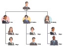 Organizational chart, business woman, business man, businessman,