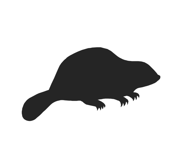 Beaver, beaver,