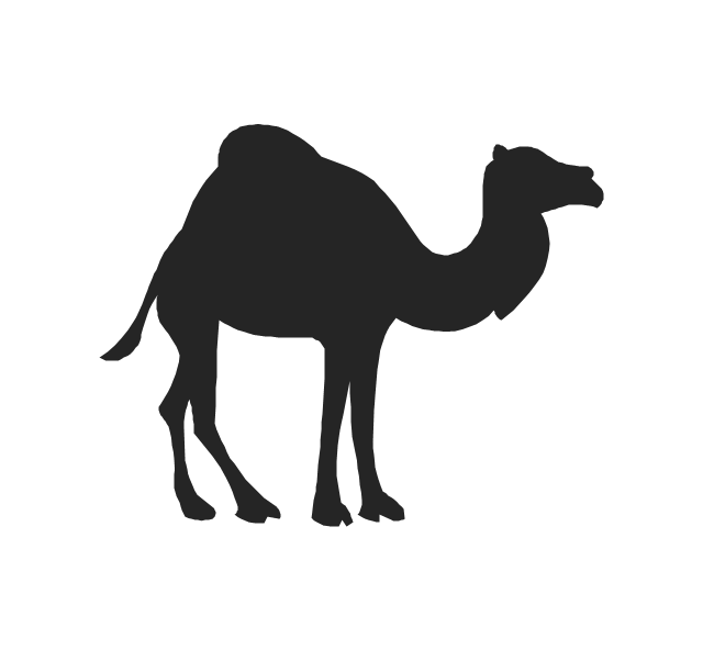 Camel, camel,