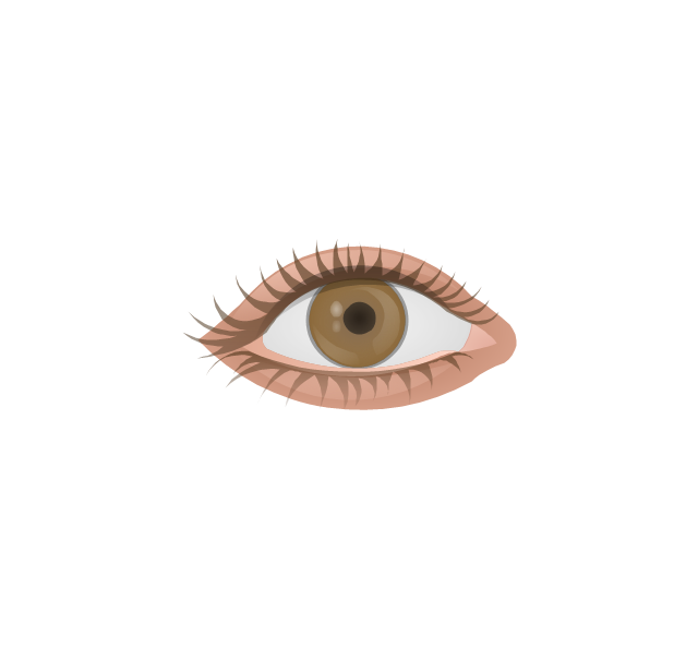 Eye, eye,