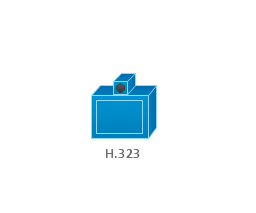 H.323 , H.323 ,