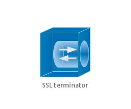 SSL terminator, SSL terminator,