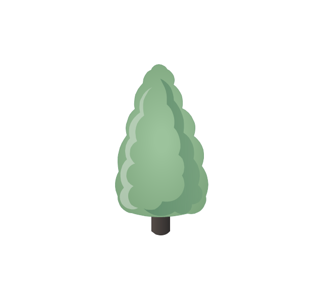 Conifer tree, fir-tree,