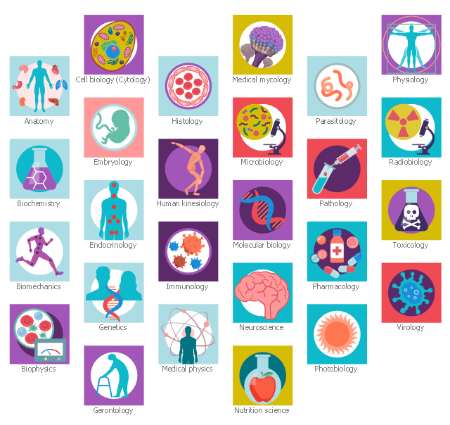 Health sciences icons, virology, toxicology, stomach, radiobiology, physiology, photobiology, pharmacology, pathology science, pathology, parasitology, nutrition science, neuroscience, molecular biology, microbiology, medical physics, medical mycology, kidney, immunology, human kinesiology, histology, hepatology, liver, gerontology, genetics, endocrinology, embryology, drawing shapes, cell model, cell biology, cytology, cardiology, biophysics, biomechanics, biochemistry, anatomy,
