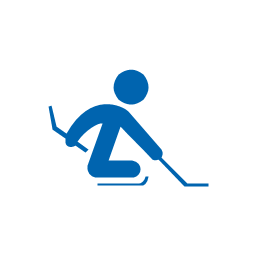 Ice sledge hockey, ice sledge hockey,