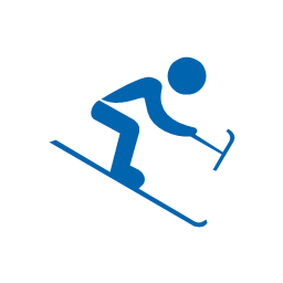 Alpine skiing, paralympic, paralympic alpine skiing,